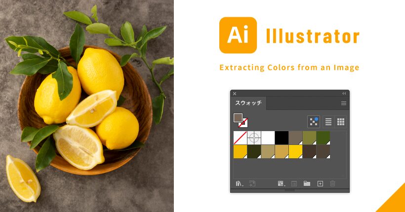 Illustratorで画像から色をまとめて抽出する方法